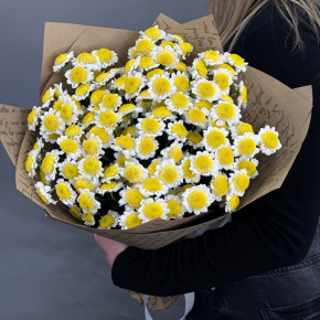 Букет "Моё солнышко" из 11 хризантем сантини  в Щелково