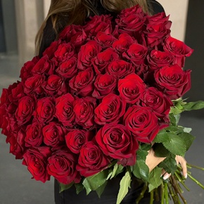 Букет 51 роза Эквадор Эксплорер (70 см) в Щелково