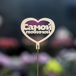 Топпер Самой Любимой в Щелково