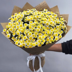 Букет "Моё солнышко" из 31 хризантемы сантини  в Щелково