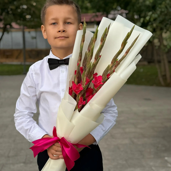 Букет на 1 сентября из 7 малиновых гладиолусов в Щелково