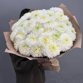 Букет из 27 хризантем Магнум в Щелково