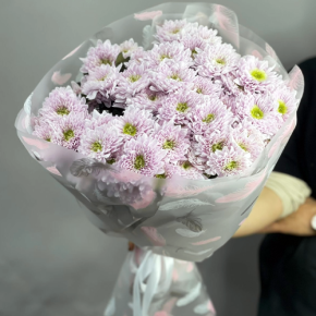 Букет "Нежный комплимент" из 9 кустовых хризантем в Щелково