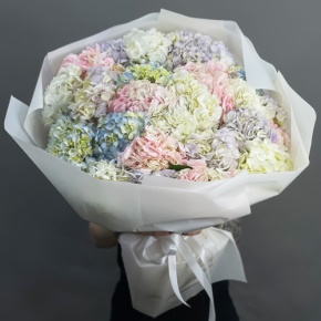 Букет из 23 гортензий микс в Щелково