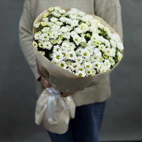 Букет "Милая моя" из 17 хризантем сантини в Щелково