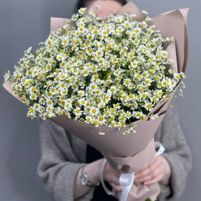 Букет из 17 полевых ромашек в Щелково