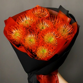 Букет из 9 лейко в Щелково