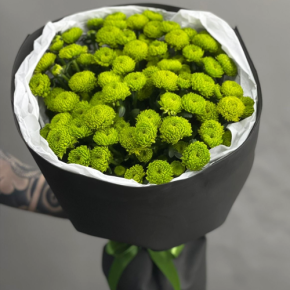 Стильный букет "Лайм" из 15 хризантем сантини в Щелково