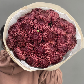 Букет 21 шоколадной хризантемы Бигоуди в Щелково