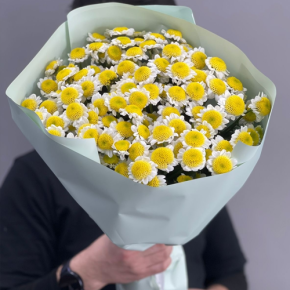 Букет "Моё солнышко" из 17 хризантем сантини  в Щелково