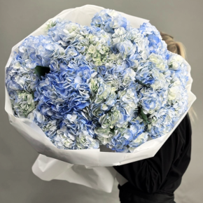 Букет из 23 синих гортензий в Щелково