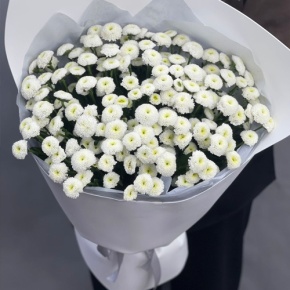 Букет "Белая дымка" из 25 хризантем сантини в Щелково