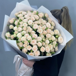 Букет из 25 кремовых кустовых роз (70 см) в Щелково