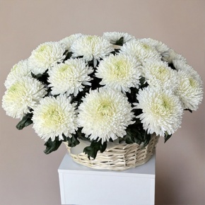 Композиция в корзине из 25 хризантем Магнум в Щелково