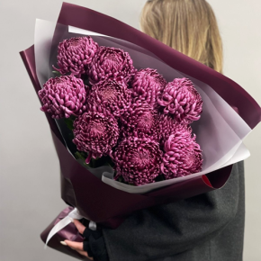 Букет "Изобилие" из 11 винных хризантем Бигоуди в Щелково