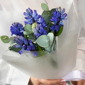 Букет "Мини" из 5 ароматных гиацинтов и эвкалипта в Щелково