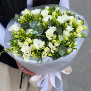 Букет из 51 белой фрезии в Щелково