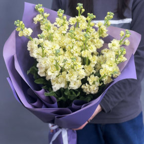 Букет из 15 лимонных маттиол в Щелково