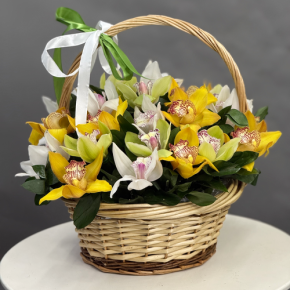 Композиция в корзине из 25 орхидей микс в Щелково