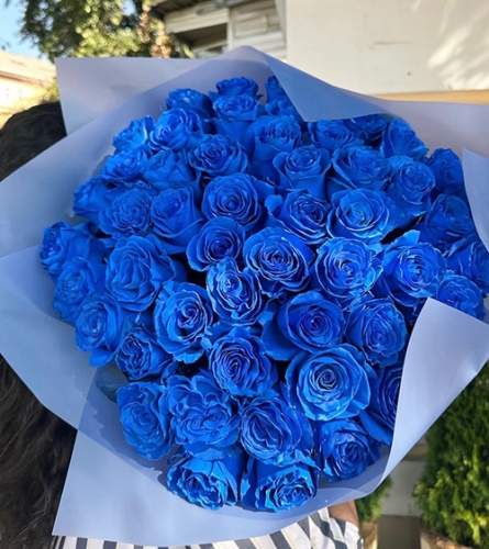 Букет из 51 синей розы Эквадор (60 см) в Щелково
