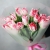Букет "Фламинго" из 11 пионовидных тюльпанов в Щелково Букет "Фламинго" из 11 пионовидных тюльпанов в Щелково