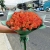 Букет из 51 мандариновой розы (40 см) в Щелково