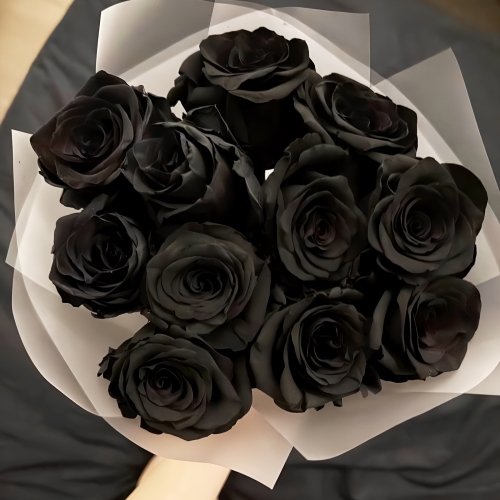 Букет "Черная королева" из 11 черных роз Эквадор (60 см) в Щелково