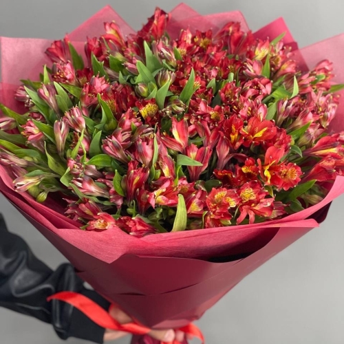 Монобукет из 25 красных альстромерий в Щелково