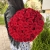 Букет 51 красной розы 50 см в Щелково