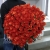 Букет 101 коралловая роза (60 см) в Щелково