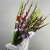 Букет из 25 гладиолусов микс в Щелково