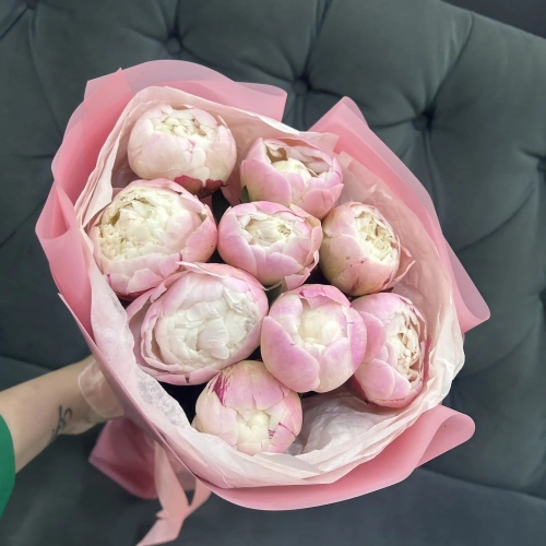 Букет из 9 нежных пионов Гардения в Щелково