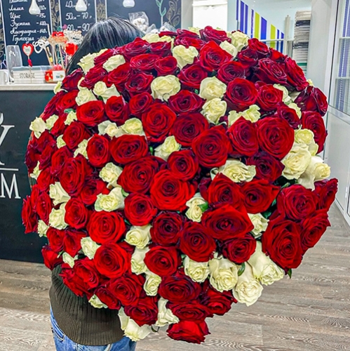 Букет 151 роза красный и белый микс (60 см) в Щелково
