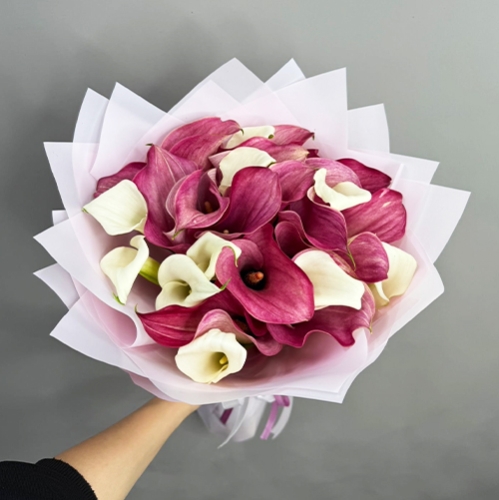 Букет из 25 нежных калл в Щелково