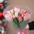 Букет "Фламинго" из 11 пионовидных тюльпанов в Щелково Букет "Фламинго" из 11 пионовидных тюльпанов в Щелково