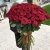 Букет из 101 красной розы (90 см) в Щелково Букет из 101 красной розы (90 см) в Щелково