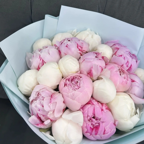Микс из 19 бело-розовых пионов в Щелково
