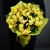 Букет из 13 лимонных орхидей в Щелково Букет из 13 лимонных орхидей в Щелково
